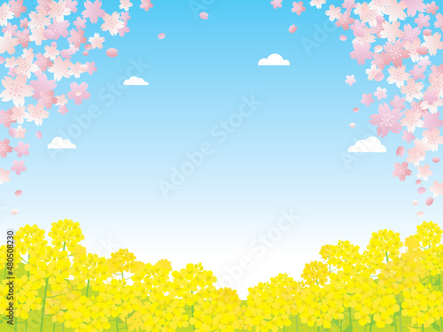 春の桜と菜の花の風景イラスト © Third Stone