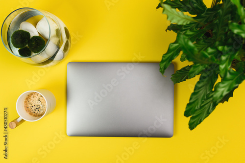 Yellow workspace with green plants
