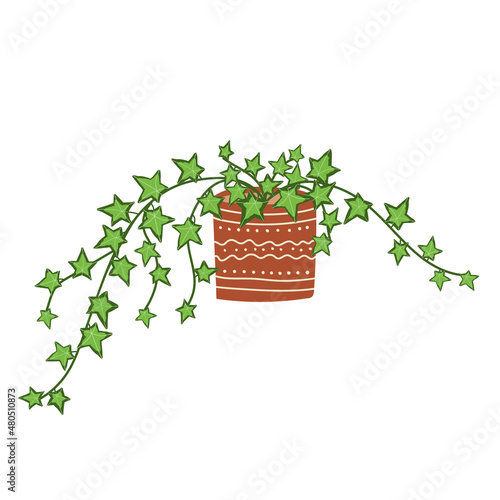 Hand-drawn style illustration of a Hedera helix plant