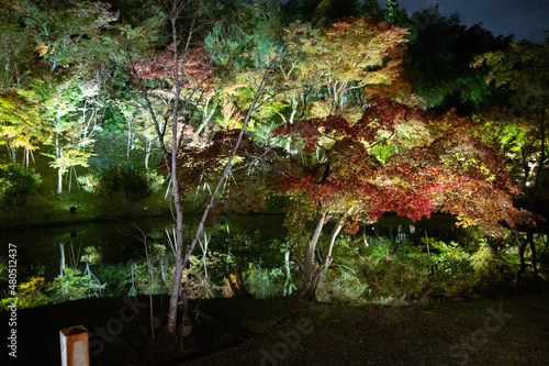 高台寺 大阪京都御朱印巡り
