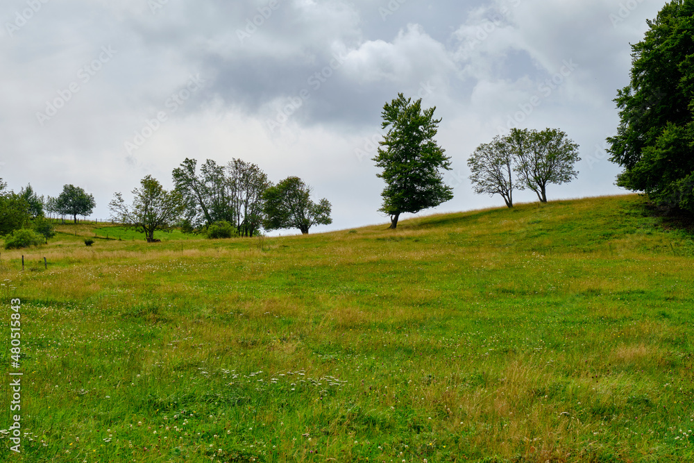 Landschaft am Mathesberg in der Hohen Rhön im Biosphärenreservat Rhön bei Wüstensachsen, Landkreis Fulda, Hessen, Deutschland