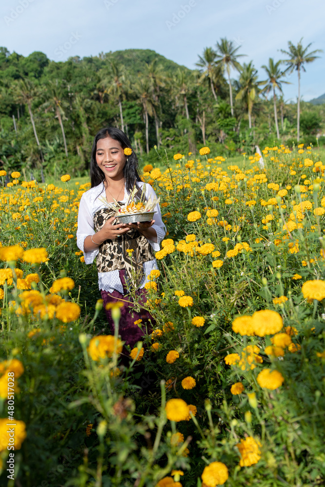 A young girl enjoys the lush beauty of the beautiful yellow marigold flowers of a medical field, with a flower behind her ear. A young girl enjoys the lush beauty of the beautiful yellow marigold flowers of a medical field, with a flower behind her ear.