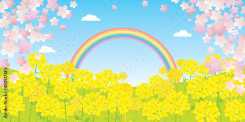 春の菜の花の風景イラスト