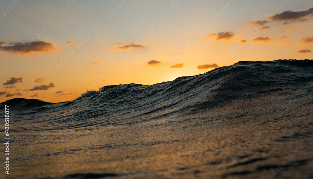 wave rising on sunset backround
