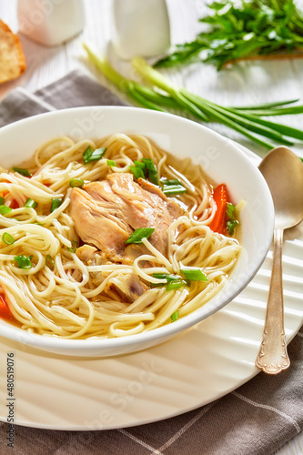 chicken noodle soup with carrots and scallion