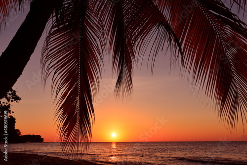 Tropical sunset