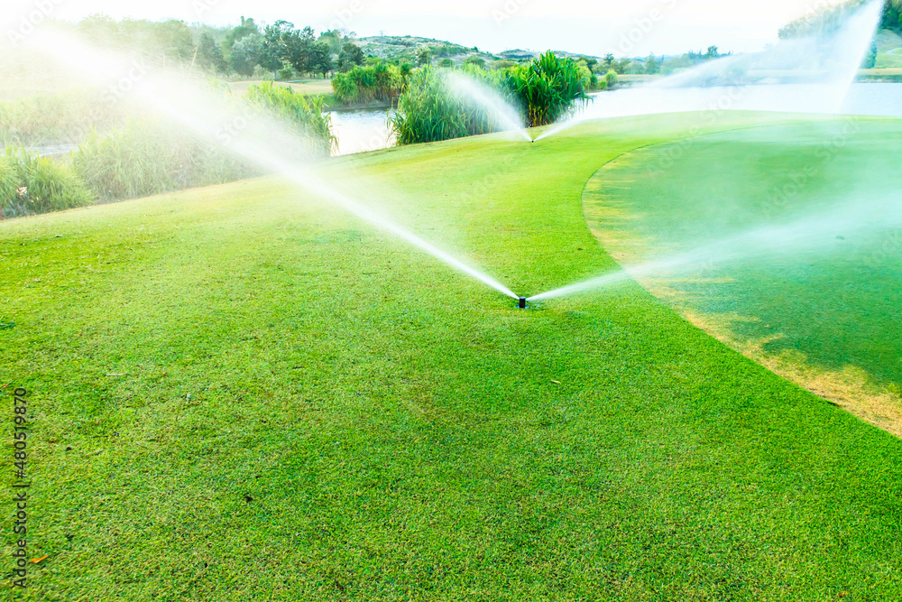Sprinklers watering system working of green golf course.