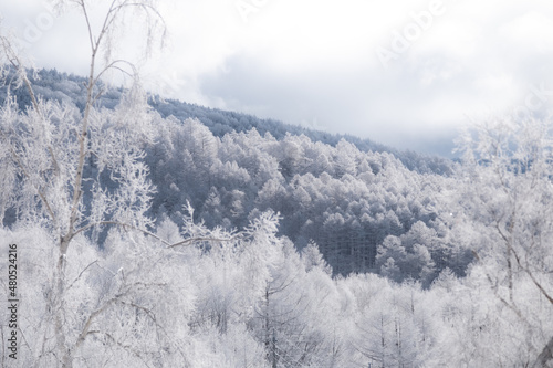 冬山の景色