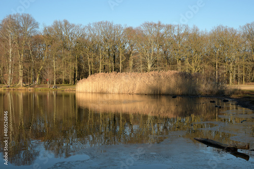 schilfgürtel © Kalle Kolodziej