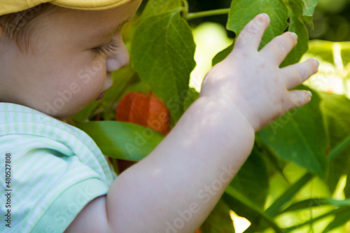 Cute baby playing in the vegetable garden with his grandmother