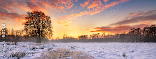 Schilderij op canvas Beautiful winter sunset with lonely tree and frozen pond