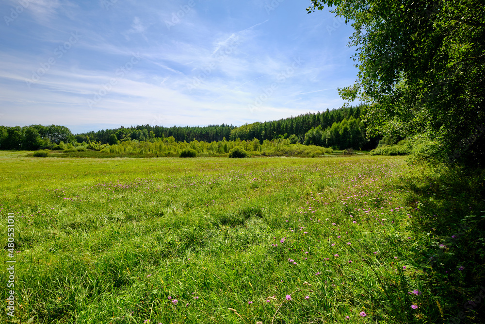 Das NSG Bischofswaldung mit Stedtlinger Moor, Biosphärenreservat Rhön, Gemeinde Rhönblick, Thüringen, Deutschland Das NSG Bischofswaldung mit Stedtlinger Moor, Biosphärenreservat Rhön, Gemeinde Rhönblick, Thüringen, Deutschland