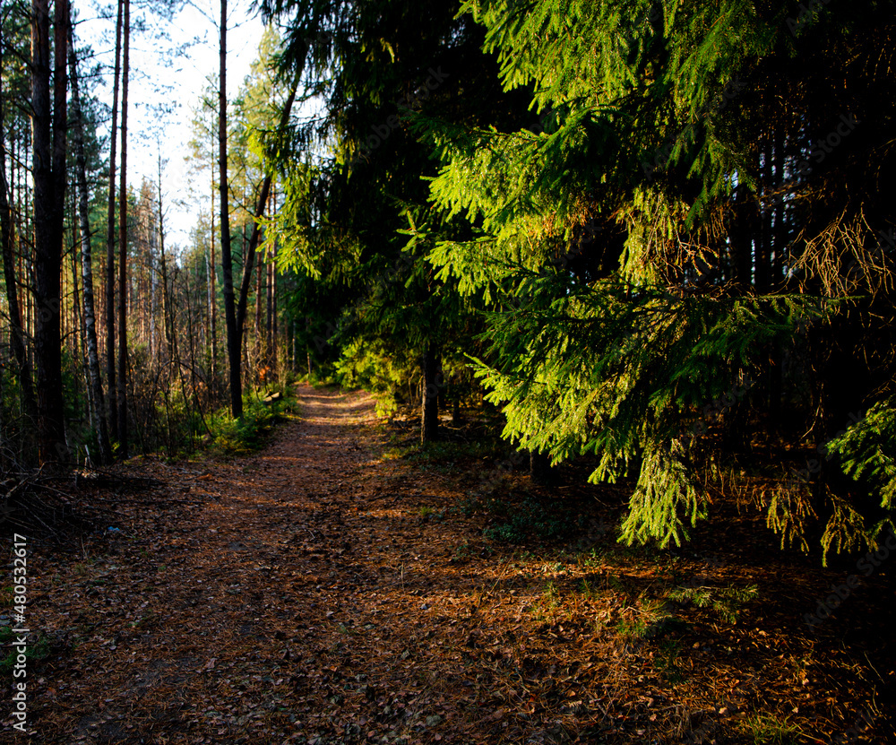 nature of the Moscow region nature of the Moscow region
