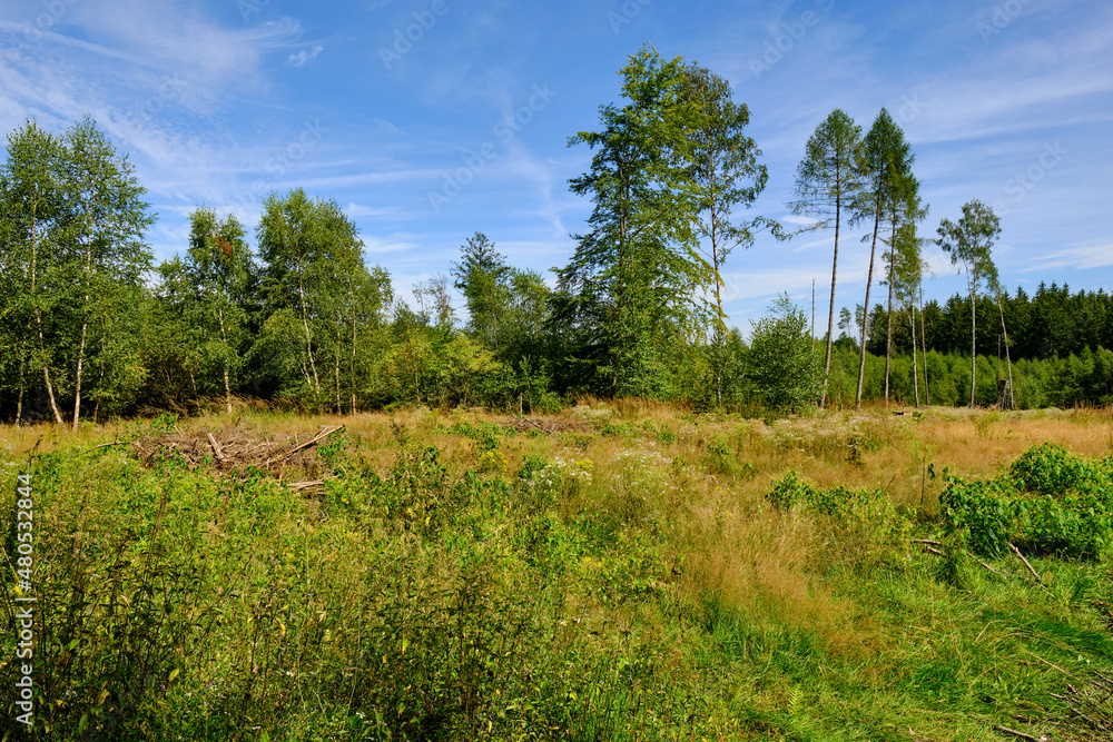 Das NSG Bischofswaldung mit Stedtlinger Moor, Biosphärenreservat Rhön, Gemeinde Rhönblick, Thüringen, Deutschland Das NSG Bischofswaldung mit Stedtlinger Moor, Biosphärenreservat Rhön, Gemeinde Rhönblick, Thüringen, Deutschland