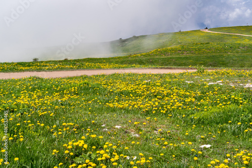 Panorama from Monte Avena, flowery meadow and stormy sky, Pedavena, Belluno, Italy