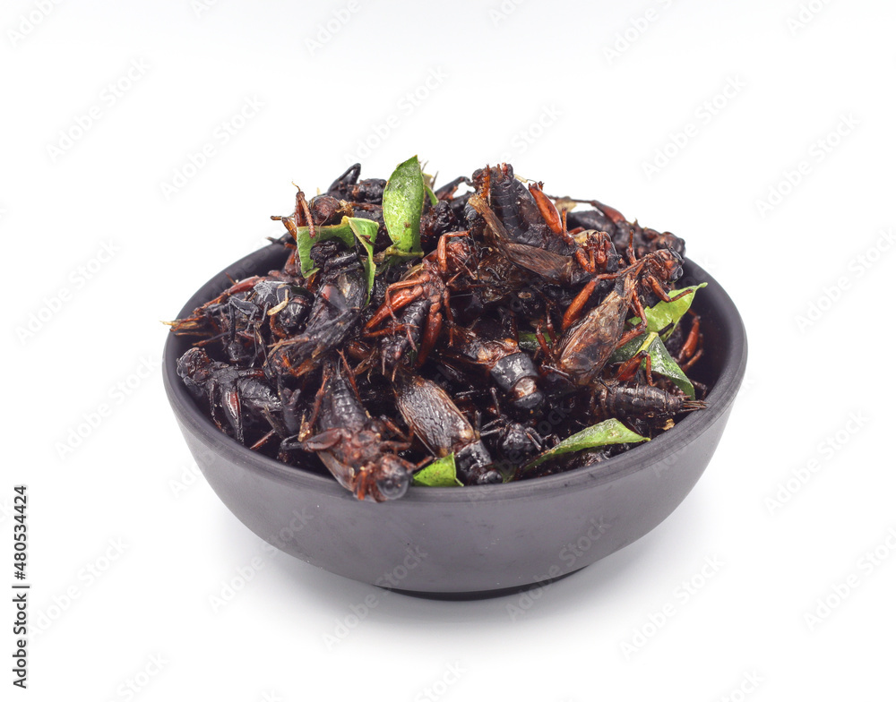 Fried insects, fried crickets with grasshoppers and kaffir lime leaves in a black cup with separate servings on a white background Fried insects, fried crickets with grasshoppers and kaffir lime leaves in a black cup with separate servings on a white background