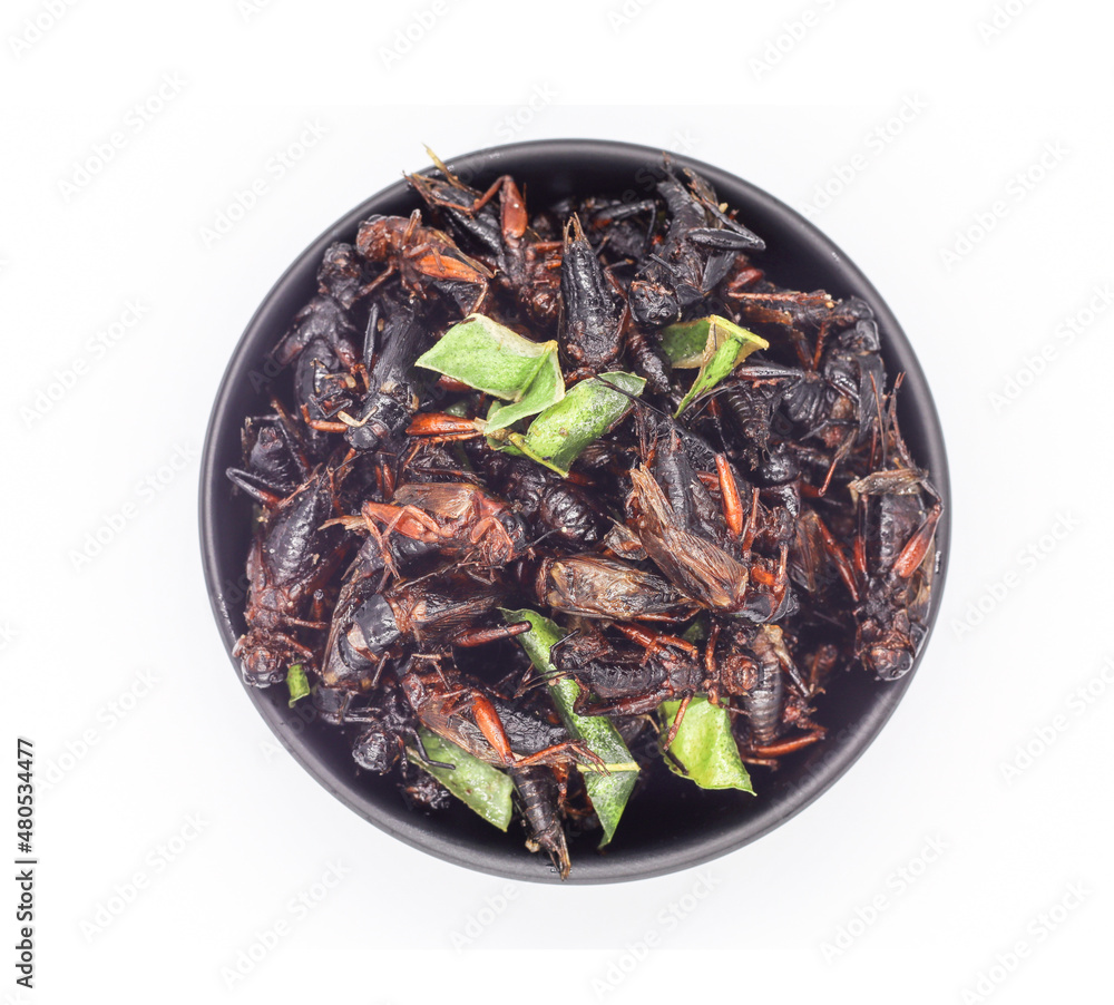 Fried insects, fried crickets with grasshopper and kaffir lime leaves in separate black bowl served on white background, top view. Fried insects, fried crickets with grasshopper and kaffir lime leaves in separate black bowl served on white background, top view.