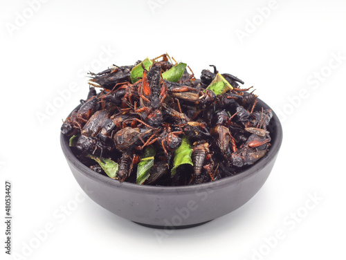 Fried insects, fried crickets with grasshoppers and kaffir lime leaves in a black cup with separate servings on a white background