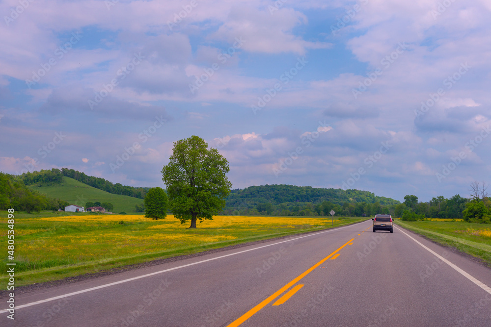 Fototapeta premium road in the countryside