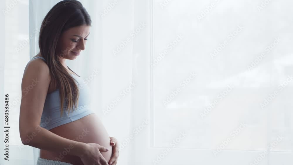 Young pregnant woman is resting at home and expecting a baby. The concept of pregnancy, motherhood, health and lifestyle. Young pregnant woman is resting at home and expecting a baby. The concept of pregnancy, motherhood, health and lifestyle.