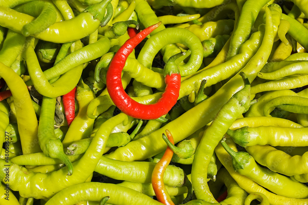 Green and red peppers Green and red peppers