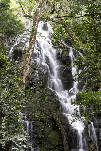 Fototapeta Naklejka Na Ścianę i Meble -  Beautiful waterfall in tropical rain forest. Costa Rica