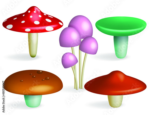 Edible and poisonous mushrooms