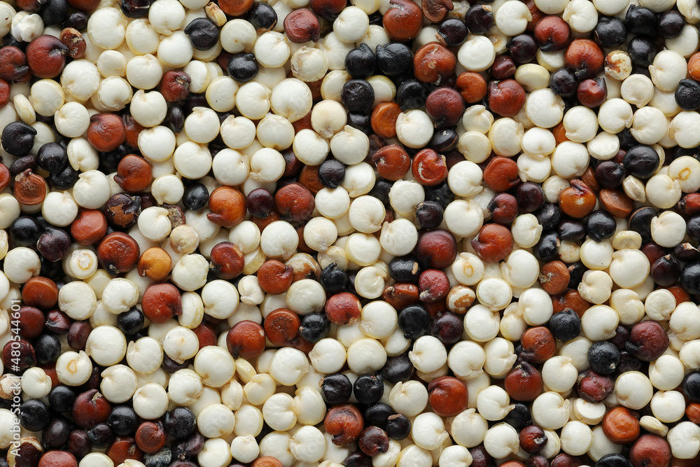 Red, black and white uncooked quinoa top view closeup. background Red, black and white uncooked quinoa top view closeup. background