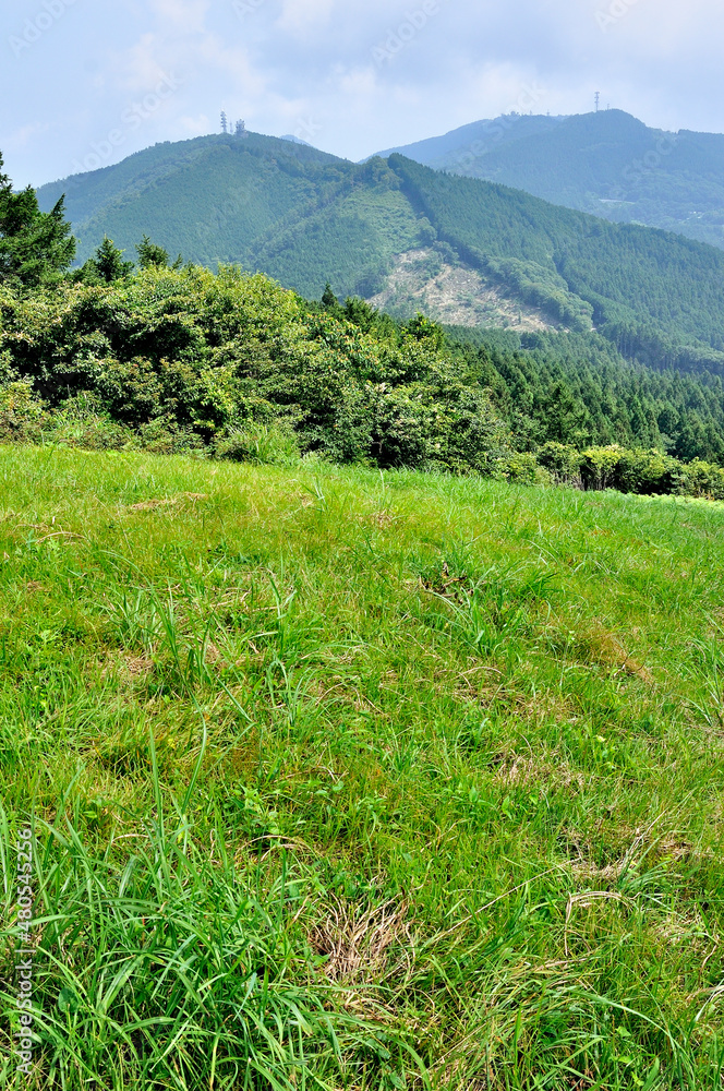Naklejka premium 奥武蔵 丸山より川木沢ノ頭と堂平山を望む 奥武蔵 丸山より左が川木沢ノ頭、右が堂平山