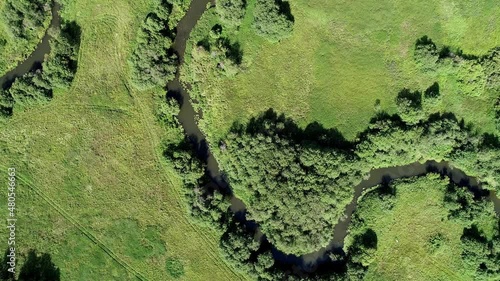 Flying a drone over a beautiful summer forest and a winding river. Aerial landscape