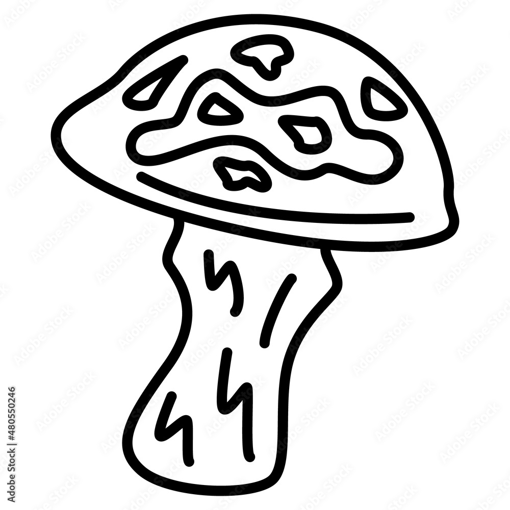 Suillus luteus, yellow boletus, boletus luteus, suillus. Forest edible mushroom. The place where mushrooms are collected. Vector icon, outline, isolated Suillus luteus, yellow boletus, boletus luteus, suillus. Forest edible mushroom. The place where mushrooms are collected. Vector icon, outline, isolated