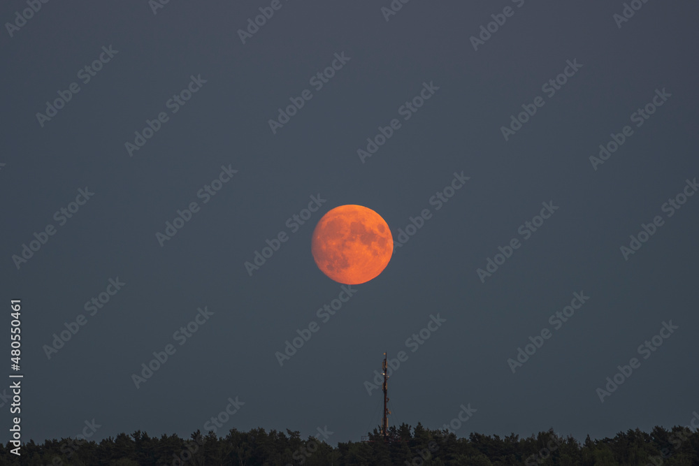 Full red moon over a forest