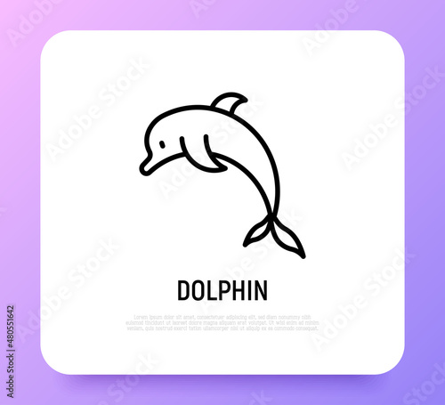 Cartoon jumping  dolphin thin line icon. Modern vector illustration.
