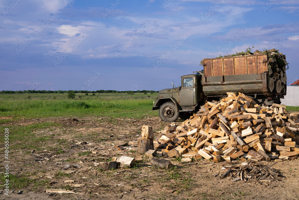 Dump truck loaded with chopped wood and pile of firewood in front of