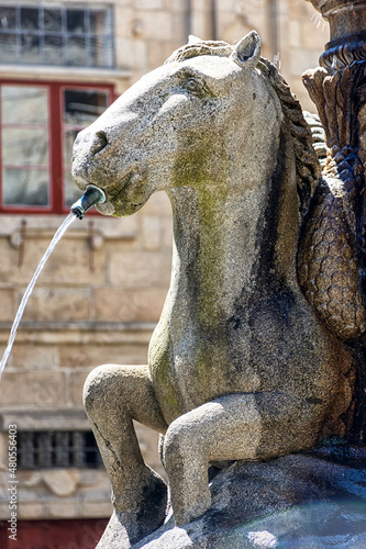 Fuente de los caballos en la plaza de platerias, Santiago de compostela photo