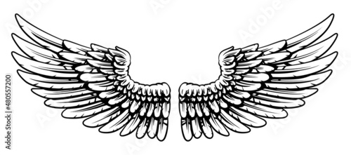 Pair of Spread Eagle or Angel Feather Wings