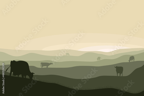 vector silhouettes of cows grazing on a large pasture against the backdrop of sunset. calm rural landscape