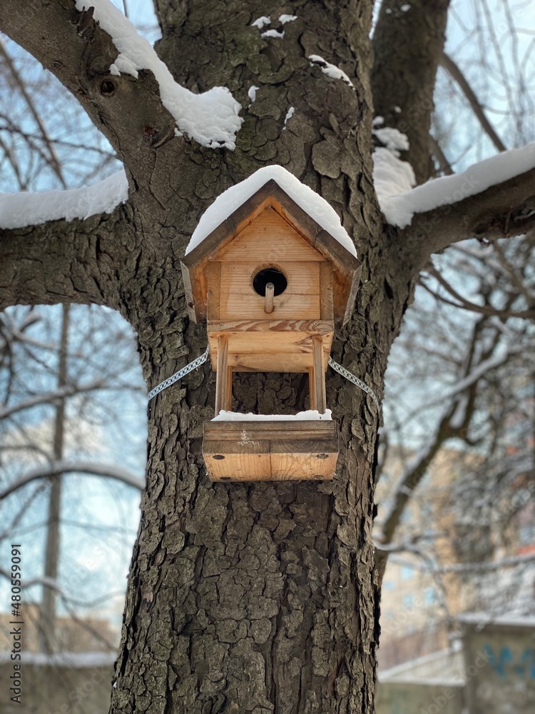 bird house on a tree. wooden bird house. birdhouse on a tree. 