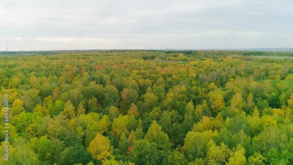Aerial video of autumn forest in the evening Aerial video of autumn forest in the evening
