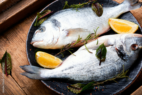 Fresh raw dorado fish. photo