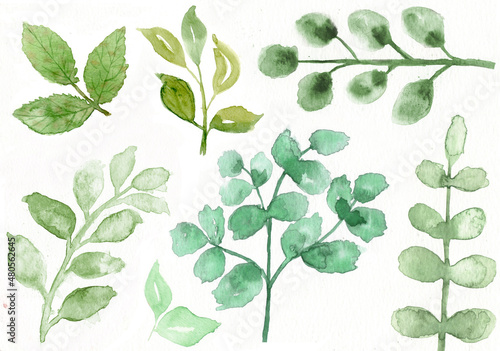 Watercolor Painting Green Leaves Set 