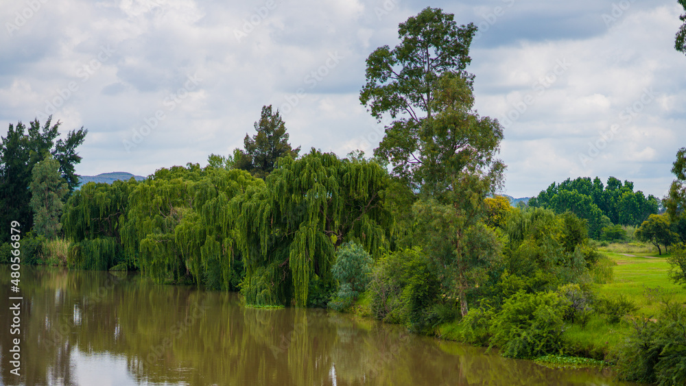 Landscape of wild nature of south africa. Photo of the river after long rains. Landscape of wild nature of south africa. Photo of the river after long rains.