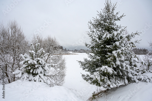 Winter landscape with snow-covered trees and a frozen river, peace and quiet