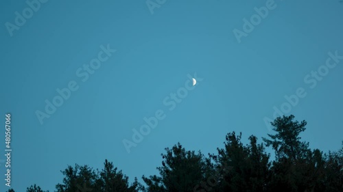 4K Day to Night Time lapse of the moon and the stars above the trees of Pine Tree forest at Van Vihar in Manali, Himachal Pradesh, India. Moon and stars after the sunset above the Pine Tree forest. photo