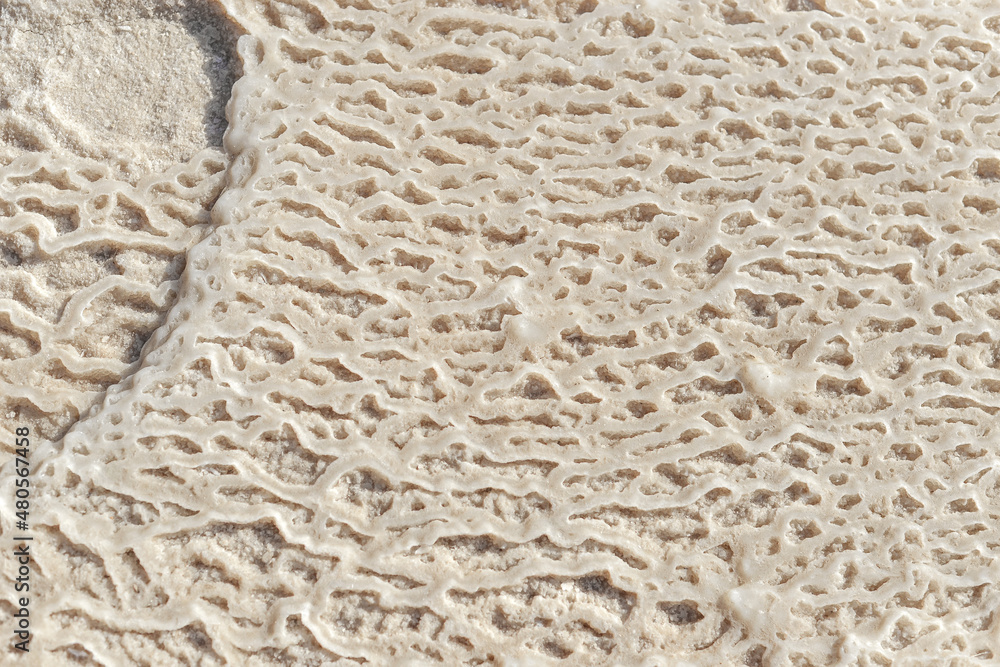 Close up of salt background. Natural salt. Dead Sea salt mineral natural formations. Salt crystals from Dead sea. View of Dead Sea coastline. Texture of Dead sea. Salty seashore Close up of salt background. Natural salt. Dead Sea salt mineral natural formations. Salt crystals from Dead sea. View of Dead Sea coastline. Texture of Dead sea. Salty seashore