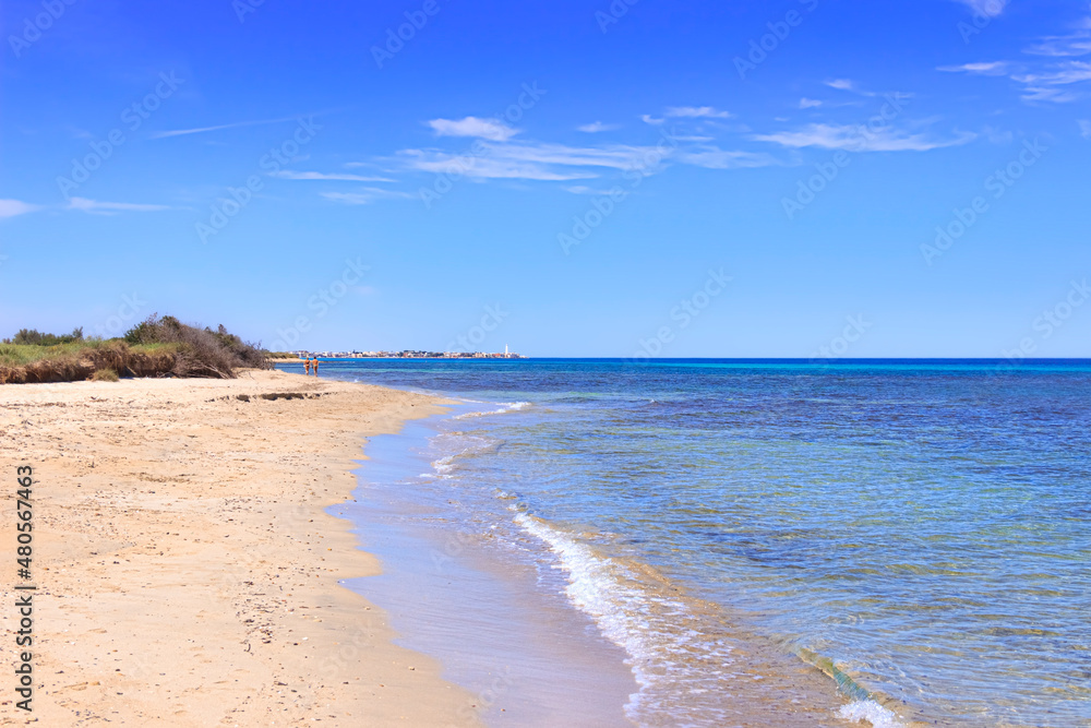 Typical sandy beach with dunes in Puglia, Italy: the Regional Natural Park Dune Costiere. In the distance you can see the town Torre Canne.