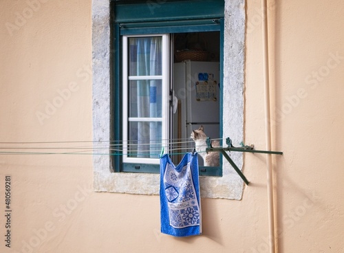 Cat sitting in open window with clothesline and blue towl in historic Mouraria neighborhood in Lisbon, Portugal. photo