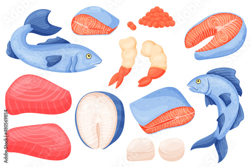 Seafood meat. Cartoon salmon tuna shrimps and white fish filet meat and steak. Vector fish isolated set