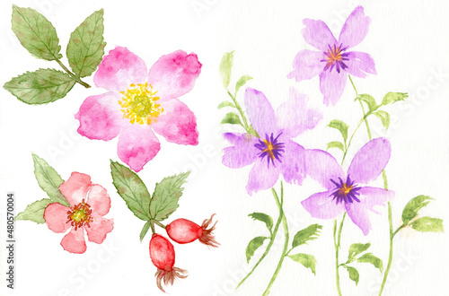 Watercolor Painting Red, Purple Flowers and Green Leaves 