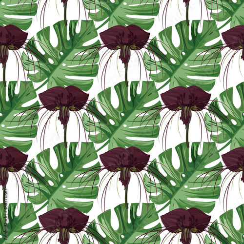 Seamless pattern with monstera leaves and tacca orchid flowers. Natural realistic background. photo